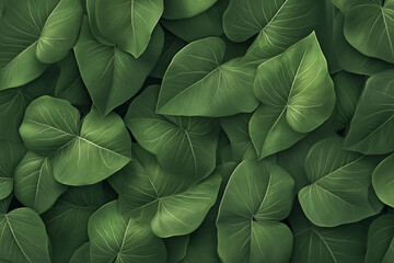 blooming black yam leaves wallpaper background for nature
