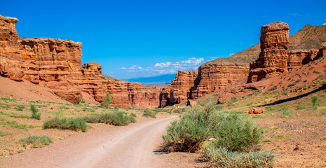 Charyn Canyon, Valley of Castles. The excellence of Kazakhstan. Panorama of natural unusual landscape. The red canyon of extraordinary beauty looks like a Martian landscape. © Vera