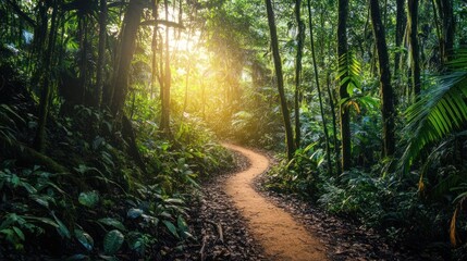 Obraz premium A winding path through a lush, green forest illuminated by soft sunlight.