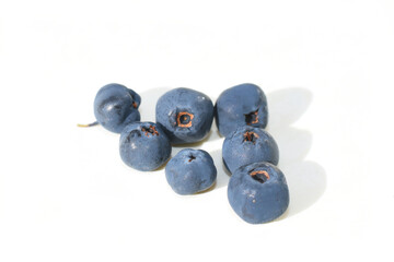 Closeup on ripe bog bilberry Vaccinium uliginosum berries isolated on white background