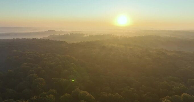 Vue a&eacute;rienne de la for&ecirc;t de Cr&eacute;cy