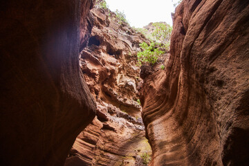 Canyon auf Gran Canaria. Barranco de las Vacas
