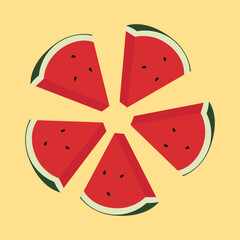 Watermelon slices in radial pattern. Vector illustration of red watermelon isolated on white background, vector illustration on white background.