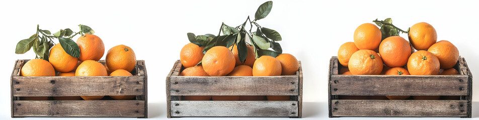 Fresh Oranges in Wooden Crates.