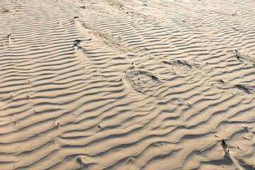Close-up of sand texture with natural wave patterns, resembling the surface of a beach or desert. The smooth lines and gentle curves create a calming, minimalistic image of nature's design
