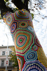 Naklejka premium A tree covered in colorful crocheted patterns as part of urban yarn bombing, with vibrant geometric shapes and textures. The creative installation stands out against the natural and urban backdrop