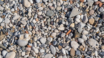 A variety of smooth river stones and pebbles cover the dry riverbed, glistening under the sunlight by the water's edge