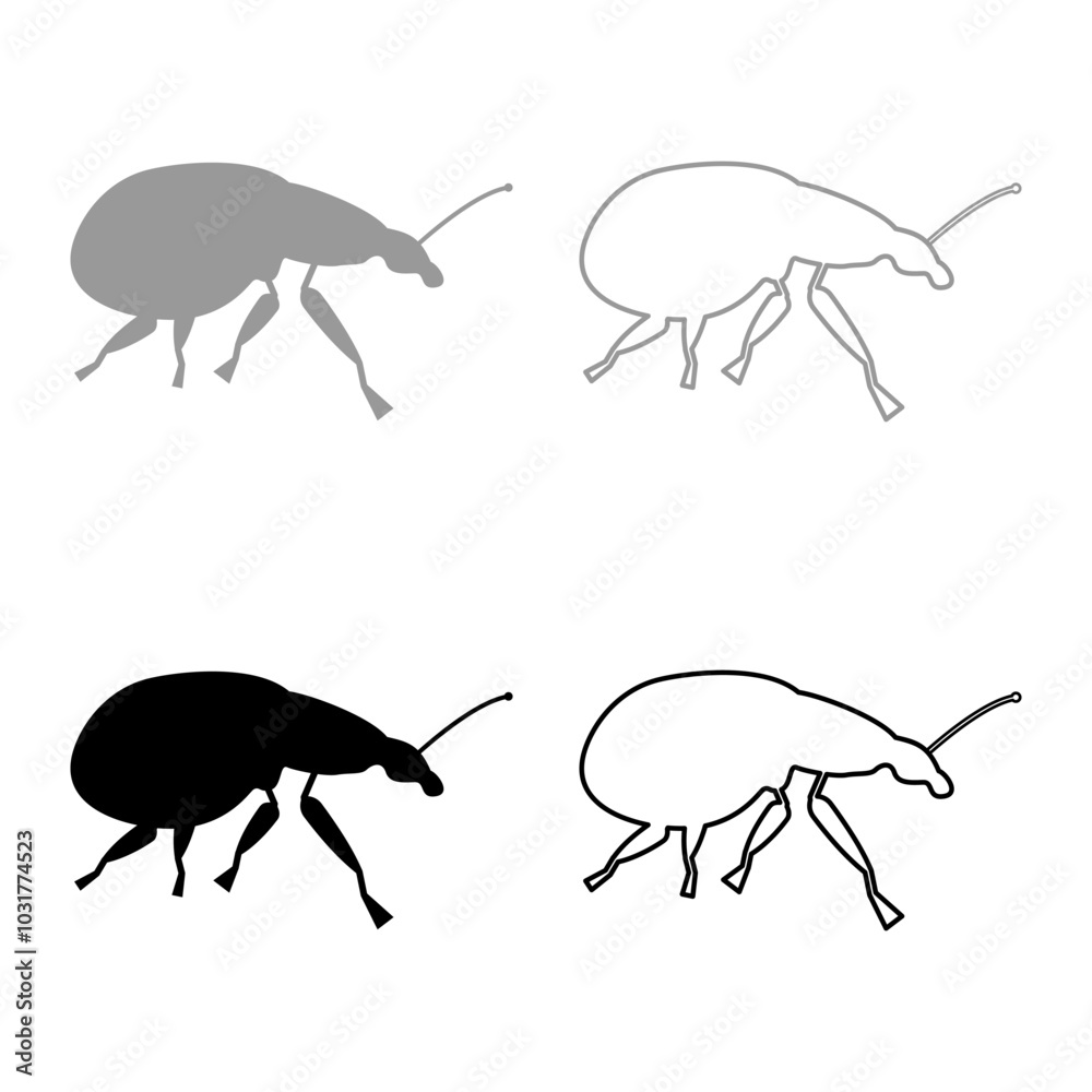 Wall mural Weevil insect pest set icon grey black color vector illustration image solid fill outline contour line thin flat style