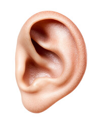 Naklejka premium High-Quality PNG of close up of a human ear Isolated on White Background – High Resolution