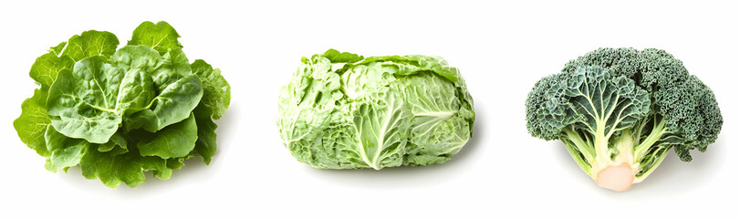 Fresh Green Leafy Vegetables.