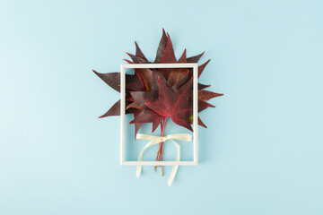 Bouquet of maple leaves with white picture frame isolated on pastel blue background. Autumn colors. 

