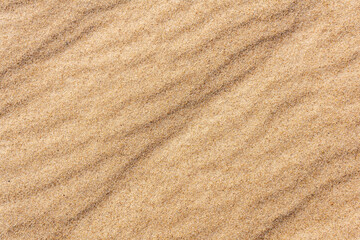 background - surface of the sand with wind ripples
