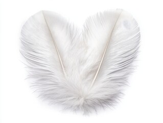 Delicate white feathers arranged in a heart shape, symbolizing purity and love. Perfect for romantic or artistic themes.
