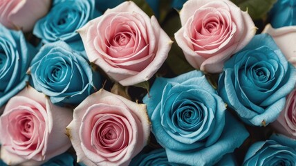 Natural fresh Cyan roses flowers background wallpaper