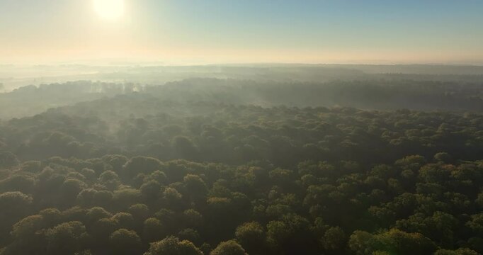 Vue a&eacute;rienne de la for&ecirc;t de Cr&eacute;cy
