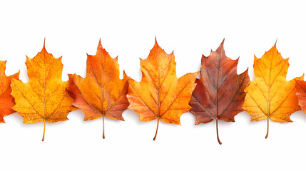 Fototapeta premium Autumn Leaves Border on White Background.