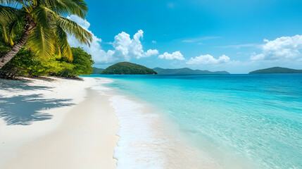 Fototapeta premium Tropical Beach with Palm Tree and Crystal Clear Water.
