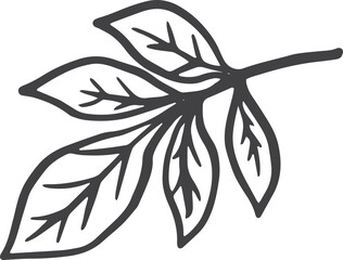 Simple Leaf hand-drawn svg