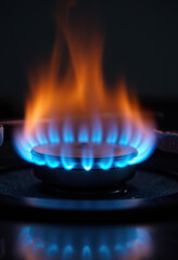Blue flame of a gas burner on a dark background