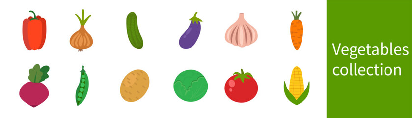 Vegetable collection. Concept of healthy eating. Onion, garlic, cucumber, tomato, corn, eggplant, paprika, potato, cabbage, carrot, pea, red beet. Vector illustration