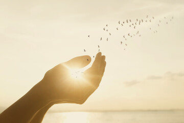surreal moment of hands freeing a flock of birds in the sunlit sky, freedom concept