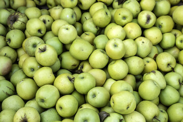 Apples in a market