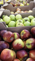 Apples in a market