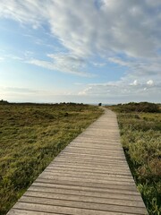 Fototapeta premium path on the moors