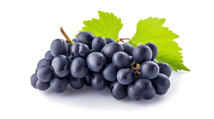 Fototapeta premium Vibrant Varieties: Stunning Black Grape Isolations and Luscious Blue Grapes on White Backgrounds