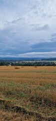 Obraz premium landscape of bohemian countryside bavorov freshly cut crops and yellow field