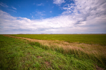 The endless steppes of Kazakhstan in the Akmola, Petropavlovsk and Kostanay regions. August, 2024.