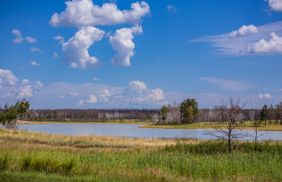 Kazakh lakes in Kostanay region. August 2024.