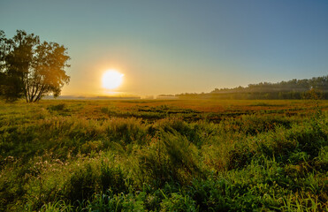 August dawn in the Kurgan region. 2024.