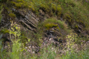 Picturesque nature of the Urals