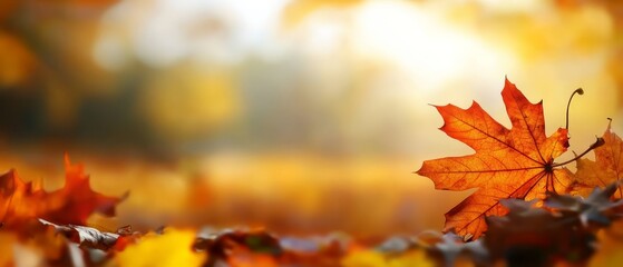  A tight shot of a leaf in sharp focus, surrounded by a hazy background of leaves