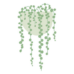 String of pearl png doodle houseplant sticker, transparent background