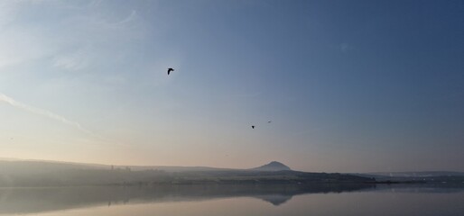 sea gulls above lake Most under the peak Hněvín with castle and lookout, artificial post mining revitalised coal mine small power plant aroun