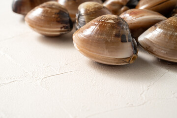 Raw fresh clams seafood in a sieve on white table background.