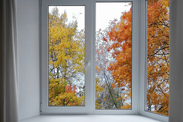 View from the window, yellow trees, landscape with autumn forest.