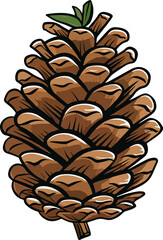 Pine cone