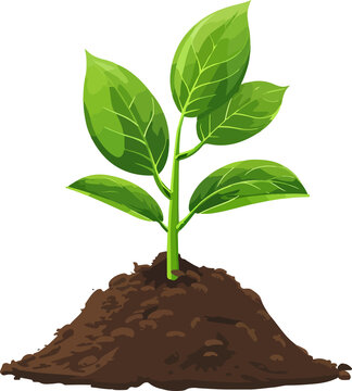 green sprout growing in soil clip art preview