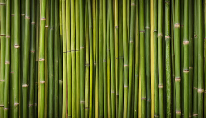 Naklejka premium Vertical bamboo texture background with green stalks, natural design, eco-friendly, copy space