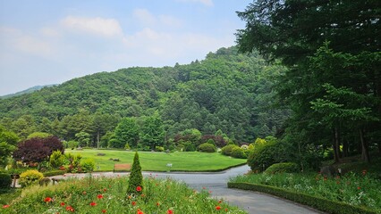 Obraz premium In a beautiful forest with pretty flowers