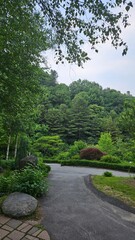 In a beautiful deep forest with lush green trees