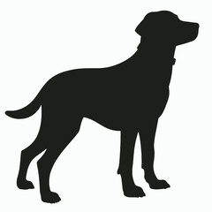 a black silhouette of a dog standing on a white background. The dog is facing towards the right side of the image and appears to be a Labrador Retriever 