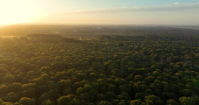 Vue a&eacute;rienne de la for&ecirc;t de Cr&eacute;cy