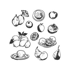 Assorted Fruits and Slices - Hand-Drawn Line Art Collection. Black and white line art collection featuring various fruits and slices. Perfect for healthy food illustrations, menu.