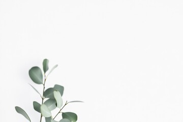Obraz premium Minimalistic white background with subtle texture and light gray gradient at the bottom edge, elegant and refined design with white space for text or graphics.