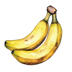 Banana fruit watercolor clipart illustration