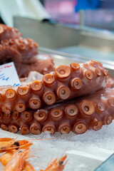 Octopus lying on the ice